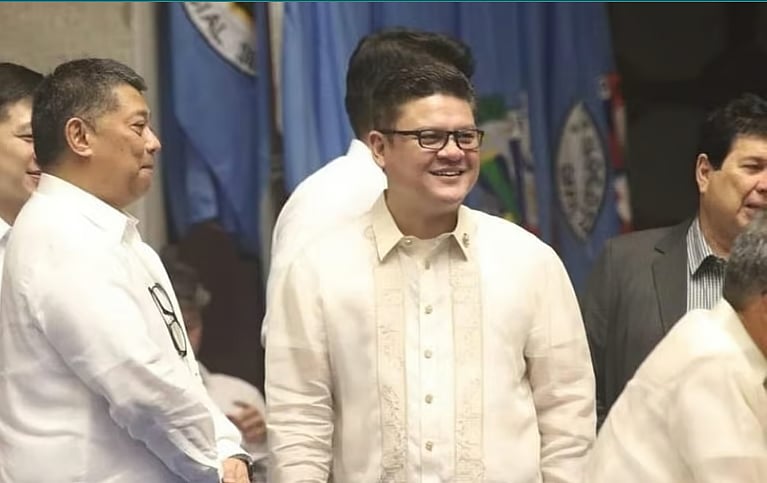 Rep. Duterte among preferred senatoriable, survey says - Vimarsana News