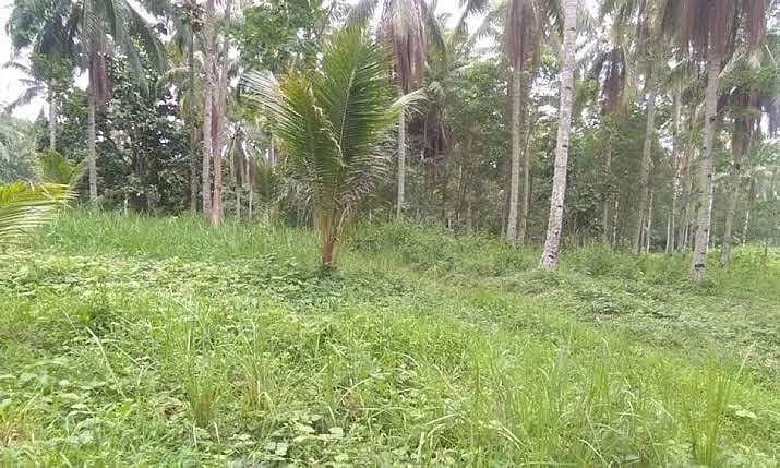 DSHUD-Davao rues continuous selling of raw lots on social media - Vimarsana News