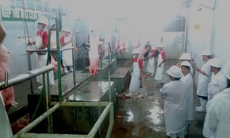 AVM-Bernardo Slaughterhouse Urged to Pay P8.9M Rental Deficiencies by Bacolod City Government - Vimarsana News