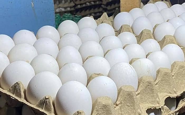Ample Meat and Poultry Supply for Holidays in Davao Region - DA-Davao and DTI-Davao Monitor Prices - Vimarsana News