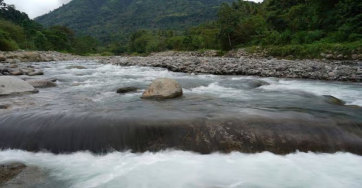 Urgent call for conservation - Vimarsana News