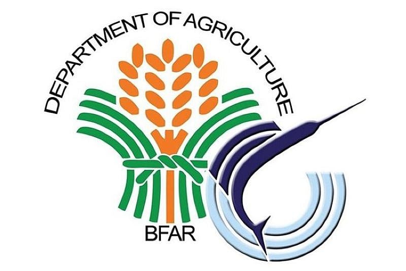 BFAR 7 Imposes 3-Month Fishing Ban in Visayan Sea to Address Low Production - Vimarsana News
