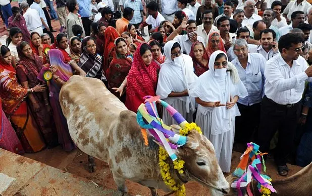 Hindutva And The Politics Of Beef