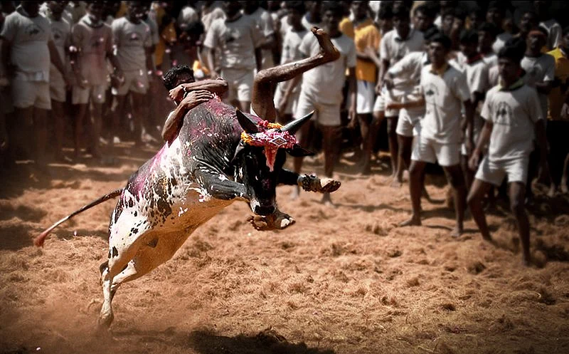 A Defence of Hindu ‘Ritualism’ and ‘Superstition’