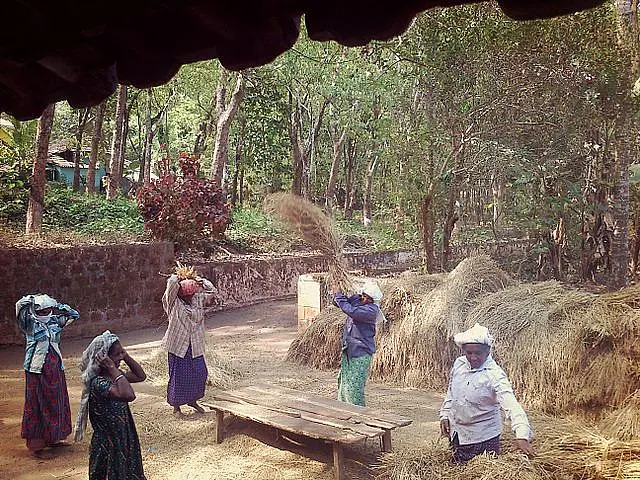 Agricultural Subsidies: A Perfect Test Case For Modi's JAM Strategy