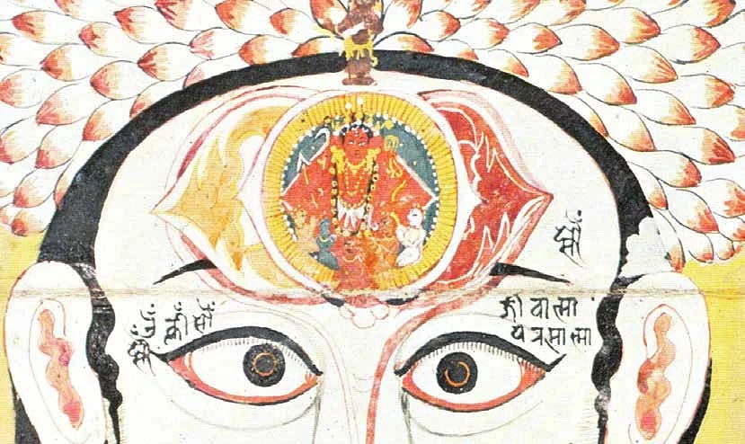 Self, Neurons, Chakras, Humankind