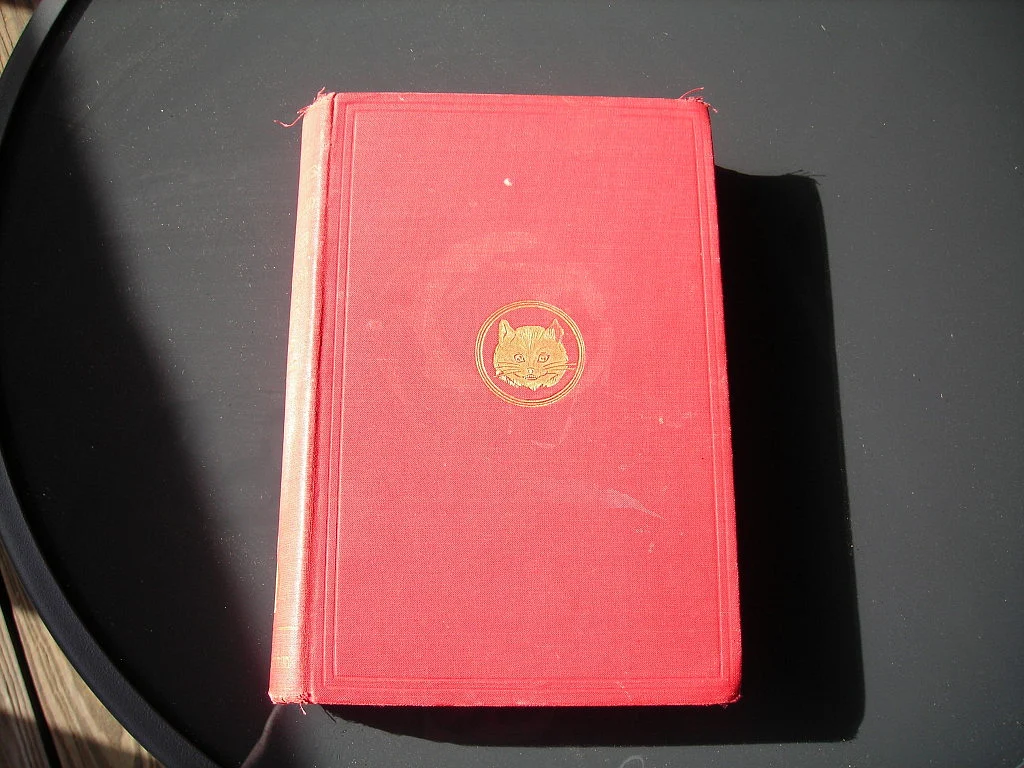 click to enlarge
