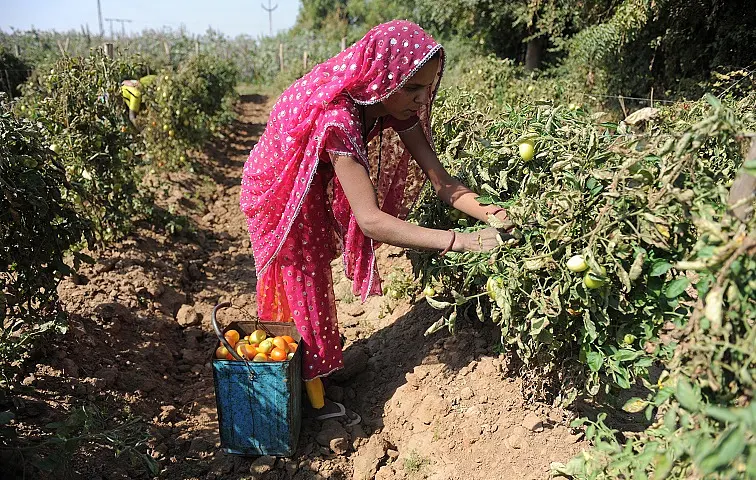 New Approach, Greater Speed Required for Agricultural Development