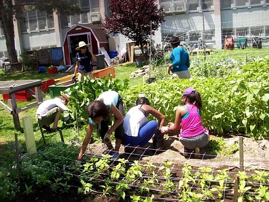 Teach your kids to have a garden