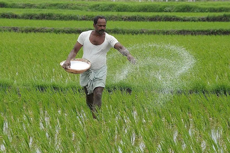 Ashok Gulati On How Skewed Subsidy Policies Are Killing The Fertiliser Industry