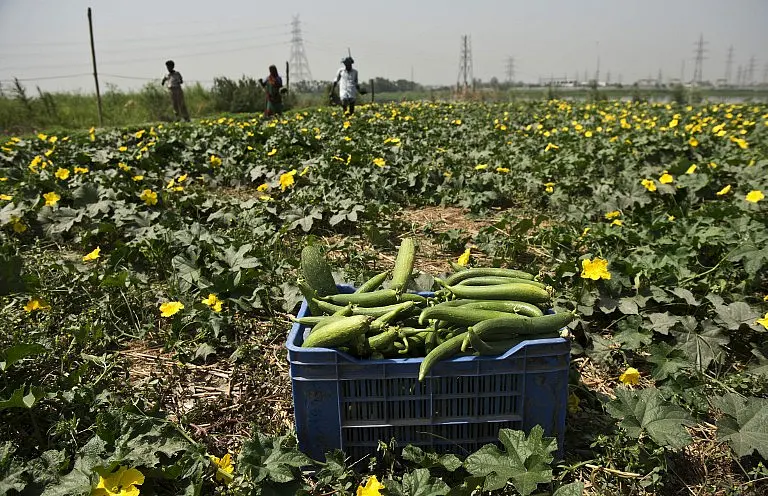 Should Urea Prices Be Increased?