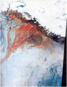 Looking Beyond The Indus Script: Story Of Vedic Harappans