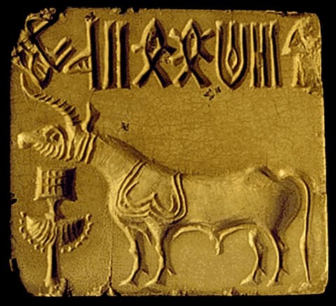 Indus valley civilization pdf picture