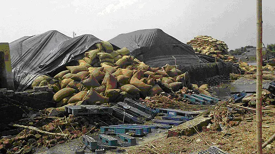 Govt Sets Record Foodgrain Production Target But Problem Lies Elsewhere: Fix The Supply Chain