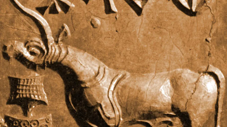Away From The “Left” And “Right”: Towards Indic Liberalism