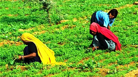 Agri-business Leaders Debate Digital Agriculture When Demonetisation Exposes Rural India’s Disconnect With Digital Economy