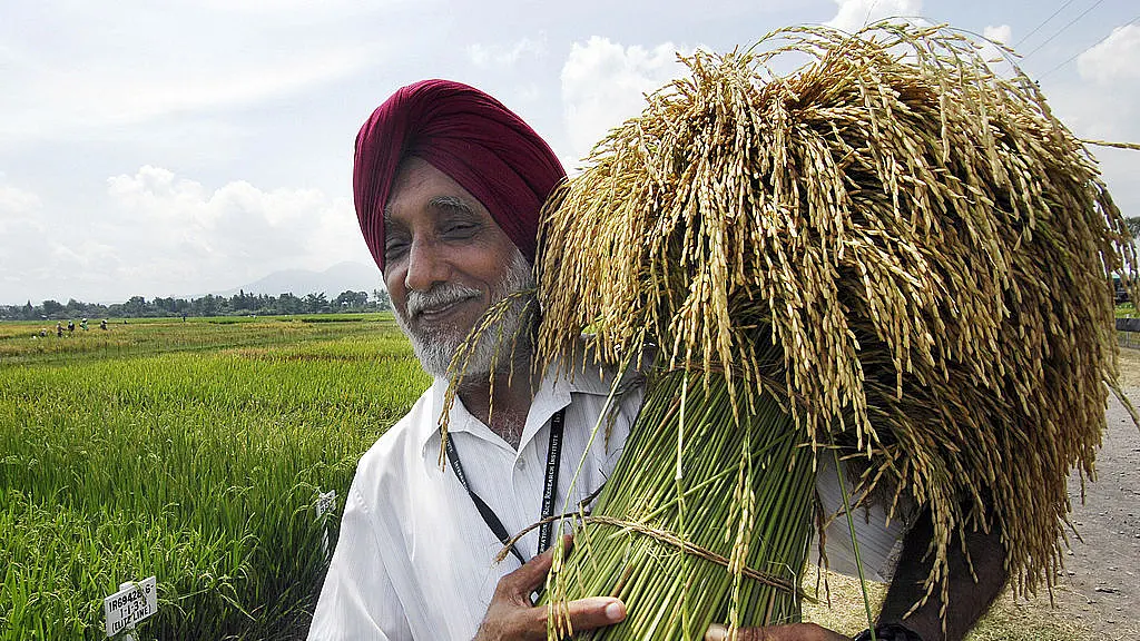More Scientific Proof: GM Food Is As Safe As Non-GM Food
