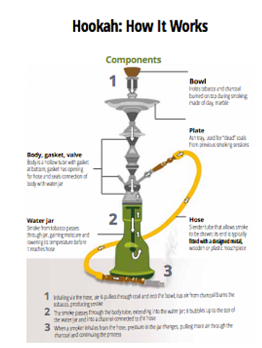 The well-crafted hookah evokes an image of
feminine beauty with its elegant and curvy profile