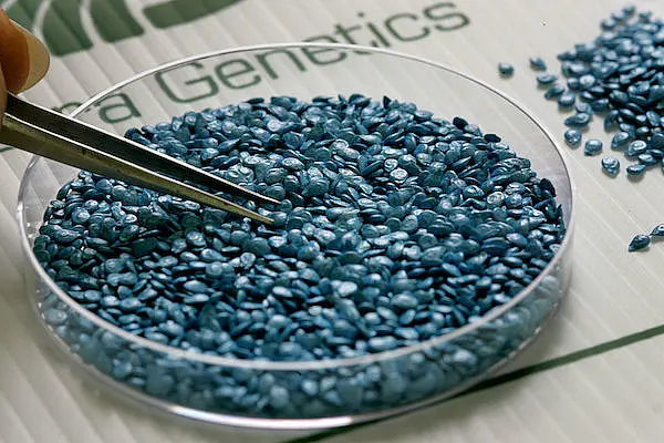 Genome Editing: The Benefits And The Ethics