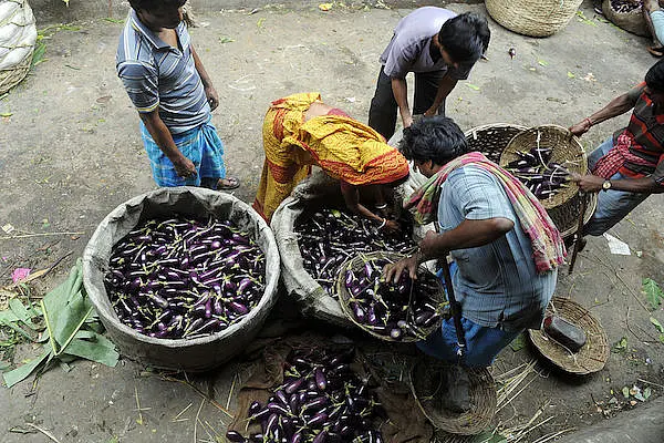 PM Modi’s Biggest Agri Reform, e-NAM, Hits States Roadblock