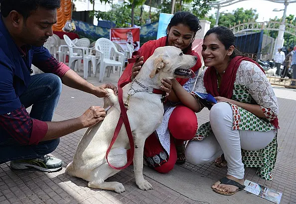 Dog Lovers Seem To Have Missed Reading On Modi’s Swachch Bharat