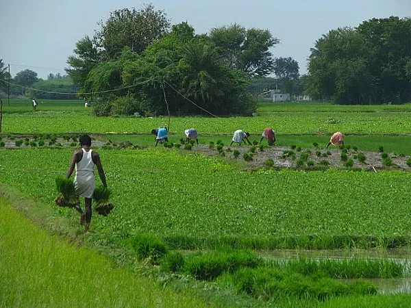 Doubling Farm Income: Agripreneurs In Pudukkottai Show How It’s Done