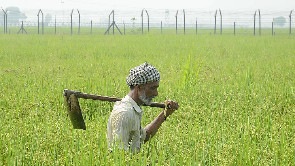 How The Left’s ‘Fact Free’ Activism Keeps Indian Agriculture Backward And Farmers Poor