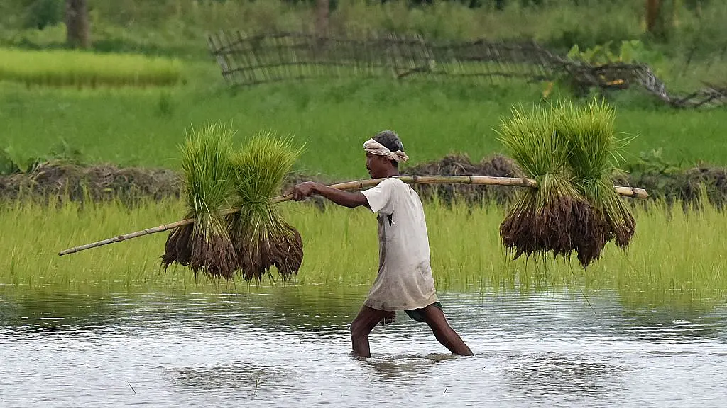 Lessons From Mandsaur: Something Smells Wrong And Loan Waiver Is The Last Thing The Farmer Needs