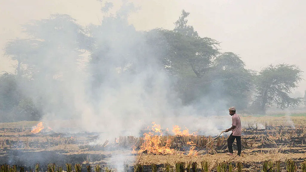 Corporates Must Promote Conservation Agriculture in Punjab To End the Menace of Stubble-Burning in Fields