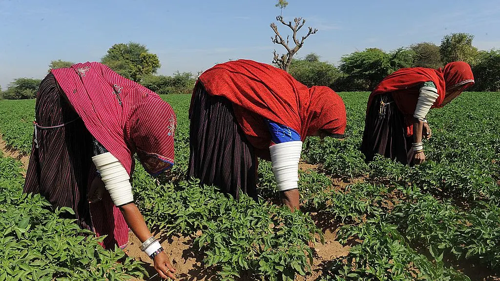 GRAM 2016: A Rajasthan Showcase For Best Practices In Agriculture