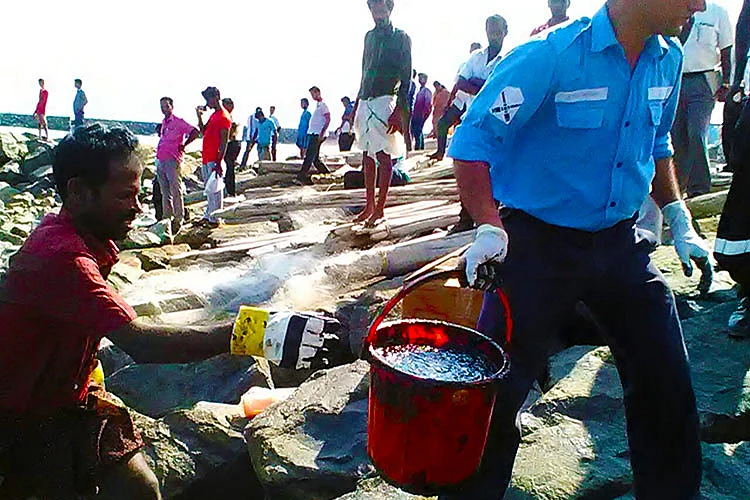 Oil Spill Off The Coast Of Chennai: Here’s What We Know So Far