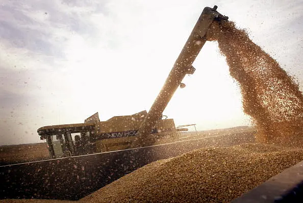 Genetically-Modified Crops
Are The Future: Here’s Why