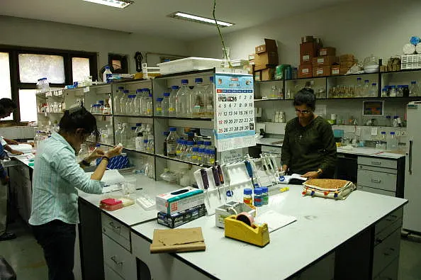 FM Sitharaman Proposes To Set Up National Research Foundation: Here’s What It May Look Like
