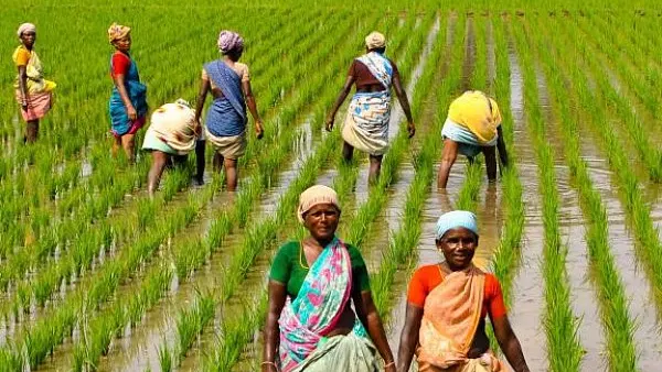 How Indian Agriculture Can Move Beyond The Boom-Bust Cycles