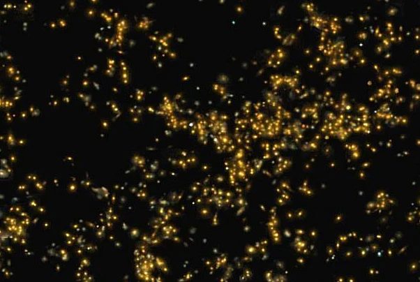 Saraswati supercluster