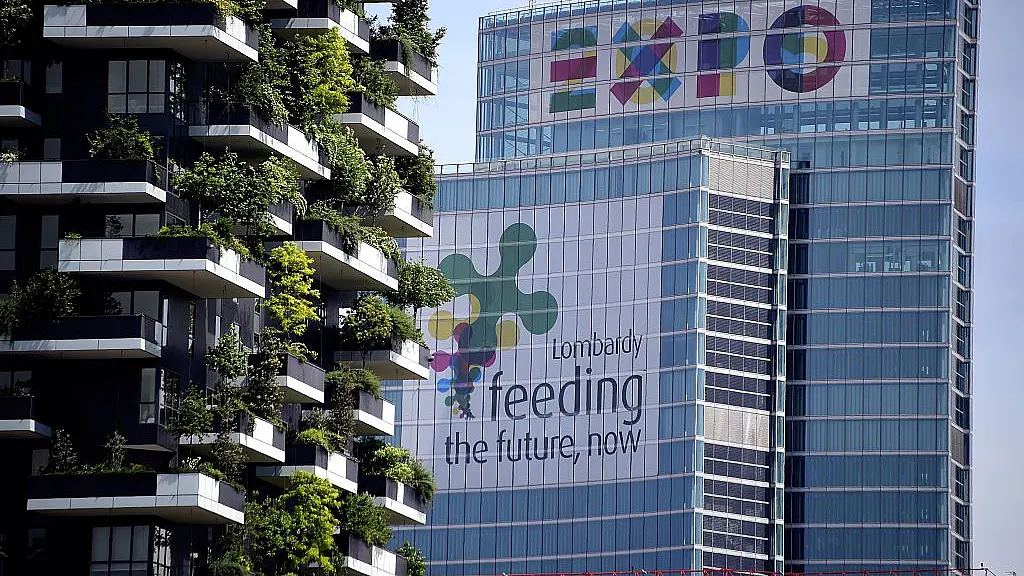 Disappearing Green Cover: Vertical Forests To The Rescue Of Cities