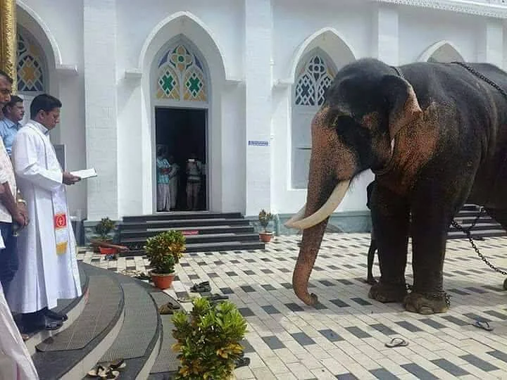 Baptising an elephant? 