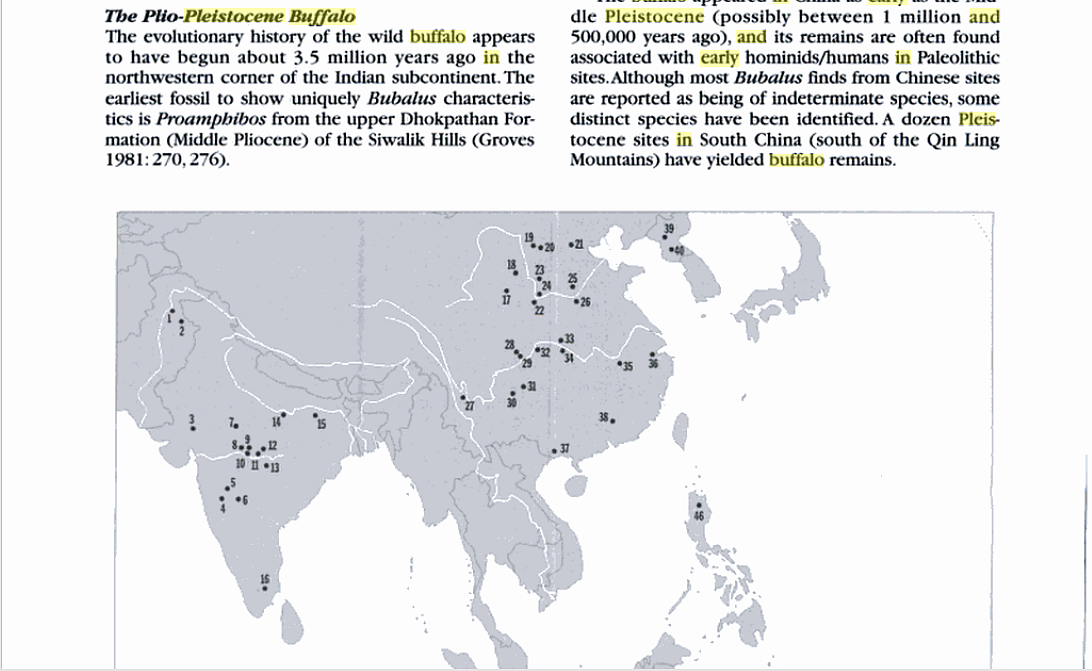 ‘True Indology’ Responds