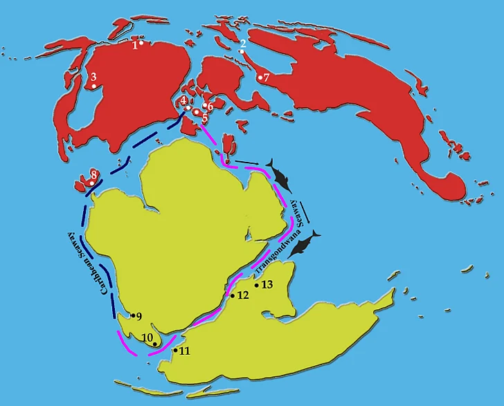 The inferred sea route along which faunal interchanges may have taken place between the western Tethys and the southern Indian Ocean is shown in magenta colour. Number 12 in the map is Madagascar and 13 is India. (Courtesy: PLoS paper) 