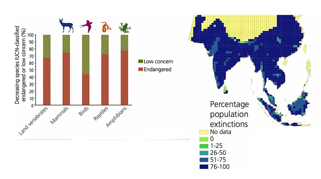 Infographics from the paper provide some troubling scenarios on the ongoing extinctions. 