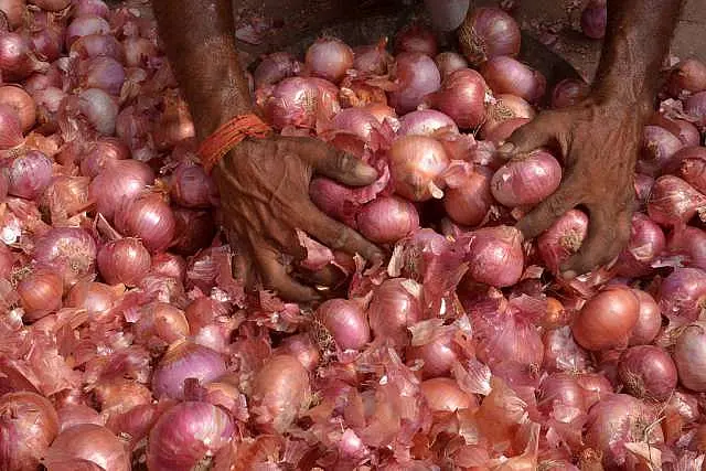 Ad Hoc Agri Export Policies: Instead Of Banning Onion Shipments, Modi Sarkar Should Have Looked At Other Options