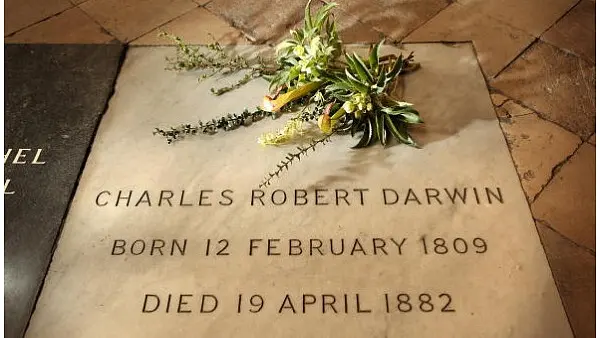 The Fight Must Go On - For Darwin, For Science, For Truth
