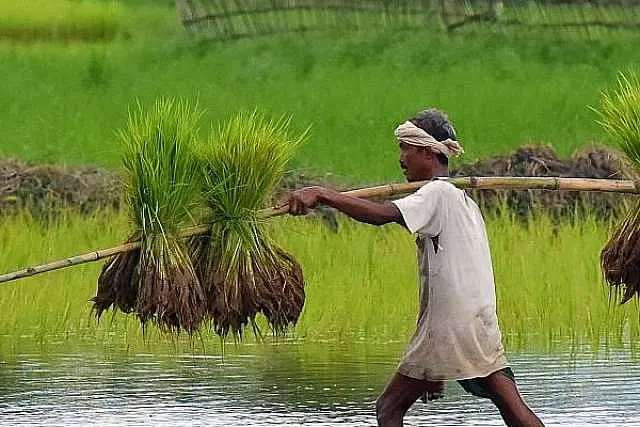 Better Than Loan Waiver? Uttarakhand Farmers Will Soon Get Zero Interest Loans, Says CM Trivendra Singh Rawat