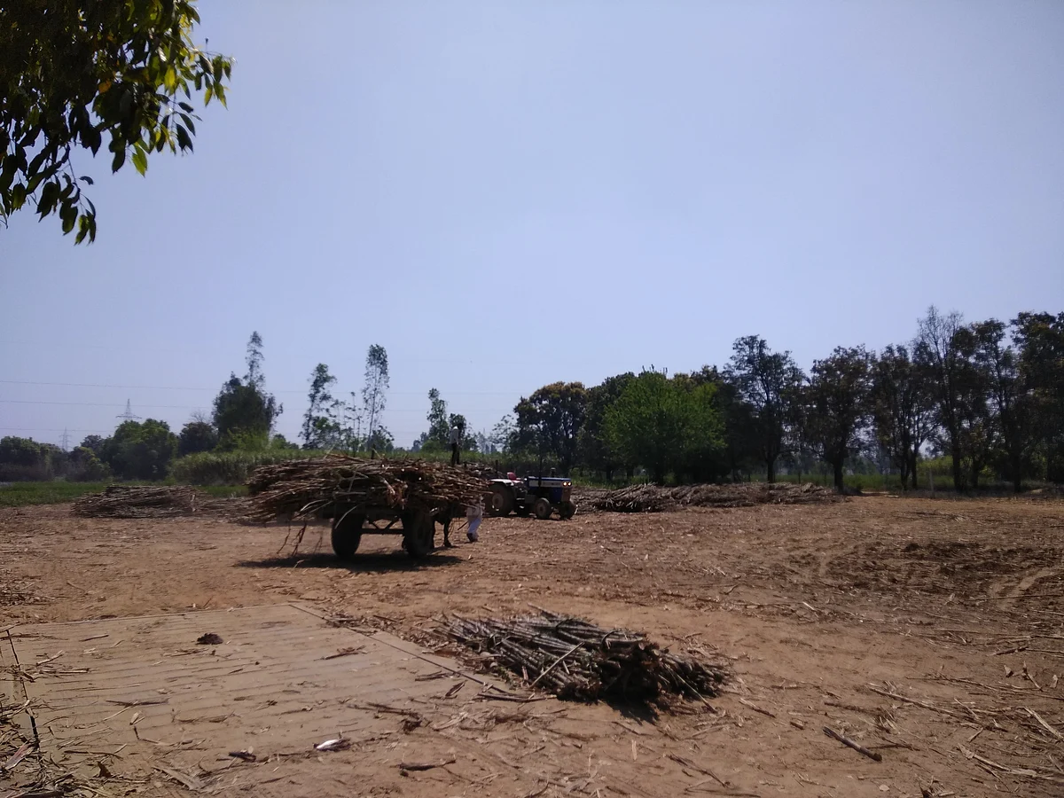 Farmers with their crop at a weighing scale on Kiratpur road