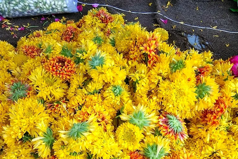 A<i> Navrang</i> flower heap in the town. 