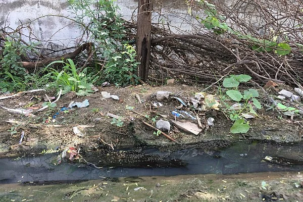 Pools of stagnant water can be seen all around in Ujina. (Swarajya)