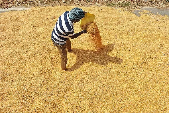 Farmer Income Grew By 37 Per Cent Between 2012 and 2016: NABARD Survey