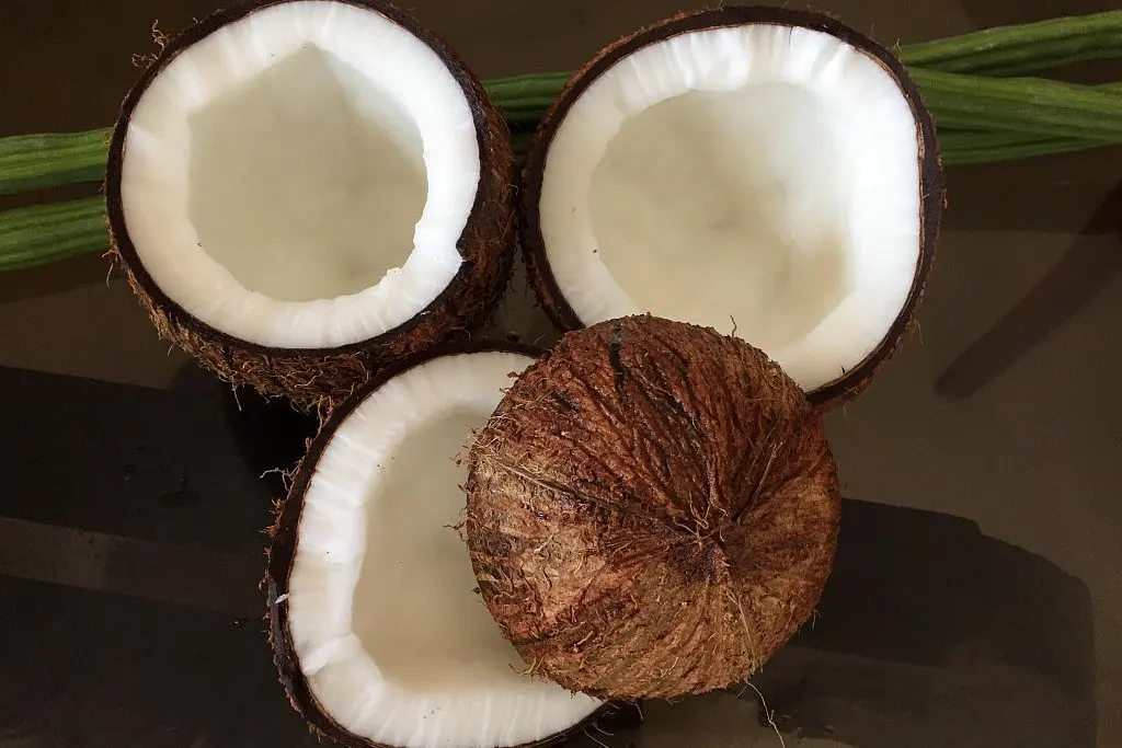Coconut Oil And Love