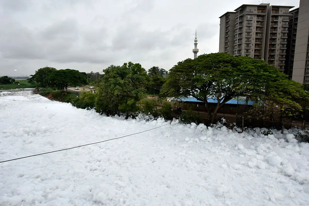 BDA Floats A Rs 250 crore Tender For Desilting, Rejuvenation And Development of Bellandur Lake In Bengaluru
