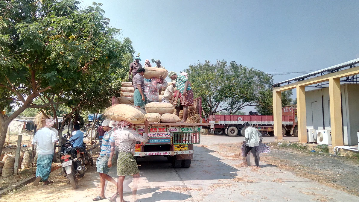 A truck being loaded with lemons at the Podalakur market to be sent to north India. 